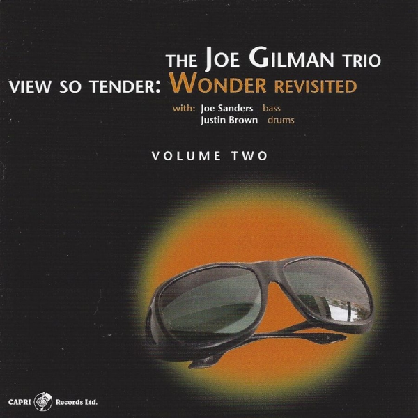 Joe Gilman - View So Tender: Wonder Revisited Vo ryhmässä CD / Myydyimmät @ Bengans Skivbutik AB (5559084)