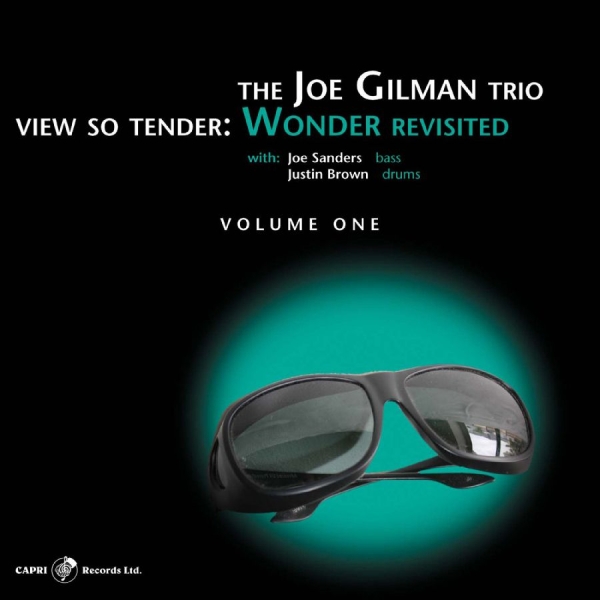 Joe Gilman - View So Tender: Wonder Revisited Vo ryhmässä CD / Myydyimmät @ Bengans Skivbutik AB (5559087)
