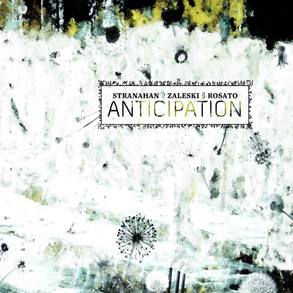 Colin Stranahan & Glenn Zaleski & R - Anticipation ryhmässä CD / Myydyimmät @ Bengans Skivbutik AB (5559093)
