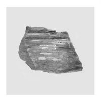 Blackbody_Radiation - Ultra-Materials ryhmässä VINYYLI @ Bengans Skivbutik AB (5559324)