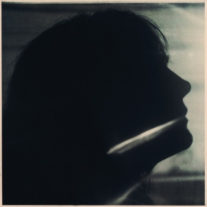 Sarah Blasko - I Just Need To Conquer This Mo ryhmässä CD @ Bengans Skivbutik AB (5559601)