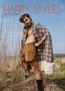 Harry Styles - 2025 Calendar ryhmässä Korr_grupp /  @ Bengans Skivbutik AB (5560287)