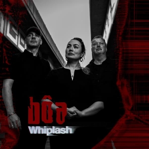 Bôa - Whiplash ryhmässä CD @ Bengans Skivbutik AB (5560363)