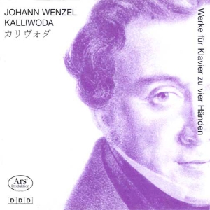 Kalliwoda Johann Wenzel - Johann Wenzel Kalliwoda - Works For ryhmässä CD @ Bengans Skivbutik AB (5560904)