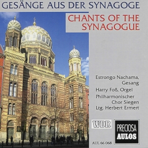 Louis Lewandowski Salomon Sulzer - Chants Of The Synagogue ryhmässä CD / Klassiskt @ Bengans Skivbutik AB (5561042)