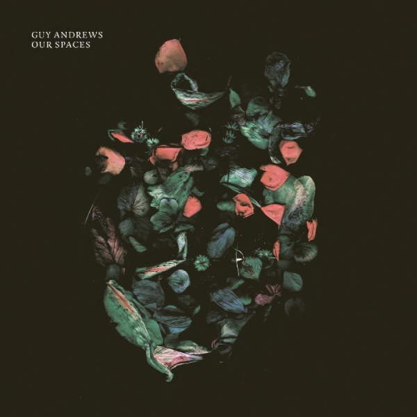 Andrews Guy - Our Spaces ryhmässä VINYYLI / Myydyimmät @ Bengans Skivbutik AB (5561044)