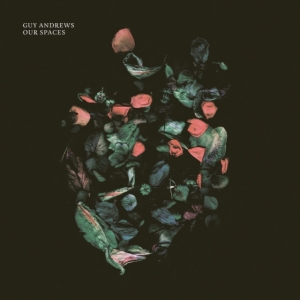 Andrews Guy - Our Spaces ryhmässä CD @ Bengans Skivbutik AB (5561106)