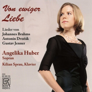 A. Dvorak/J. Brahms/G. Jenner - A. Dvorak/J. Brahms/G. Jenner - Von ryhmässä CD @ Bengans Skivbutik AB (5561491)