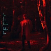 One True Pairing - Endless Rain ryhmässä VINYYLI @ Bengans Skivbutik AB (5561977)