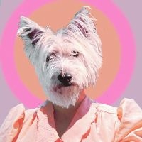 Litku Klemetti - Funny Girl ryhmässä CD @ Bengans Skivbutik AB (5562015)