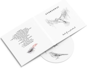 Stornoway - Best Of: Unplucked ryhmässä ME SUOSITTELEMME / Perjantain julkaisut / Perjantai 29 marraskuuta 2024 @ Bengans Skivbutik AB (5562079)