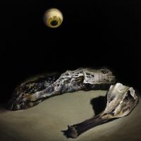 Solen Skinner - The Lathering ryhmässä VINYYLI @ Bengans Skivbutik AB (5562424)