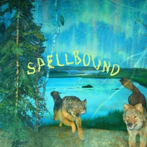 Boyscott - Spellbound ryhmässä ME SUOSITTELEMME / Perjantain julkaisut / Fredag den 18:e oktober 2024 @ Bengans Skivbutik AB (5563665)
