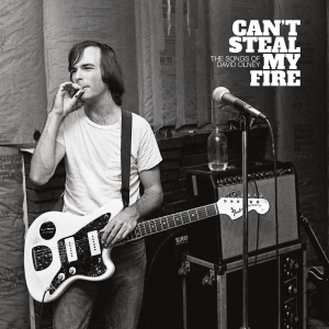 Various Artists - Can't Steal My Fire: The Songs Of D ryhmässä ME SUOSITTELEMME / Perjantain julkaisut / @ Bengans Skivbutik AB (5563961)