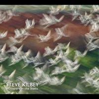 Kilbey Steve - Whispers In The Static ryhmässä CD / Myydyimmät @ Bengans Skivbutik AB (5564109)