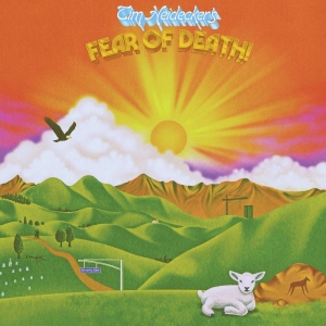 Heidecker Tim - Fear Of Death (Golden Sunset Vinyl) ryhmässä ME SUOSITTELEMME / Perjantain julkaisut / @ Bengans Skivbutik AB (5564376)