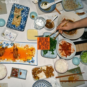 The Vices - Before It Might Be Gone ryhmässä CD @ Bengans Skivbutik AB (5564770)