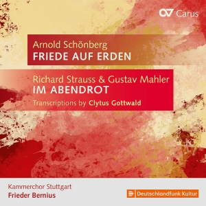 Kammerchor Stuttgart Frieder Berni - Strauss & Mahler: Transcriptions By ryhmässä CD @ Bengans Skivbutik AB (5565216)