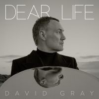 David Gray - Dear Life ryhmässä Övrigt / @ Bengans Skivbutik AB (5565975)