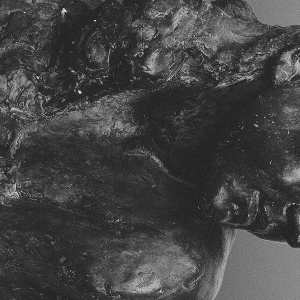 Mother - Ii ryhmässä CD @ Bengans Skivbutik AB (5566360)