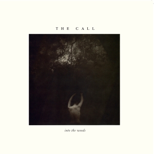 The Call - Into The Woods ryhmässä VINYYLI @ Bengans Skivbutik AB (5567018)