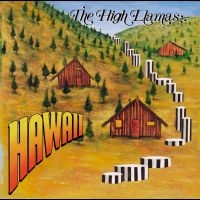 The High Llamas - Hawaii ryhmässä VINYYLI @ Bengans Skivbutik AB (5569130)