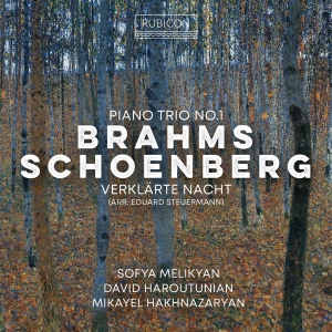 Sofya Melikyan & David Haroutunian & Mikayel Hakhnazaryan - Brahms: Piano Trio No. 1 - Schoenberg: Verklärte Nacht (Arr. Eduard Steuermann) ryhmässä Övrigt /  @ Bengans Skivbutik AB (5569609)