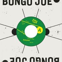 Amami - Wrong Way / Wrong Way Dub ryhmässä ME SUOSITTELEMME / Perjantain julkaisut / Perjantai, joulukuu 6, 2024 @ Bengans Skivbutik AB (5570168)