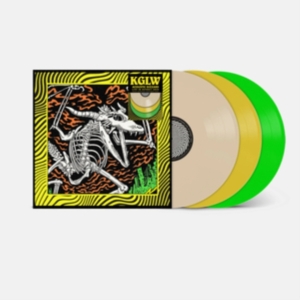 King Gizzard & The Lizard Wizard - Acoustic Gizzard - Live In Detroit ryhmässä ME SUOSITTELEMME / Perjantain julkaisut / 2025-01-31 @ Bengans Skivbutik AB (5570319)
