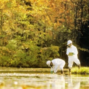 Hedningarna - Hippjokk ryhmässä CD @ Bengans Skivbutik AB (557087)