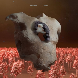 Soap&Skin - Torso ryhmässä CD @ Bengans Skivbutik AB (5570941)