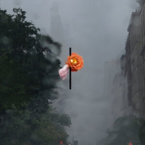 Rosenbaum August - Songs People Together (Clear Vinyl) ryhmässä Övrigt / @ Bengans Skivbutik AB (5571085)