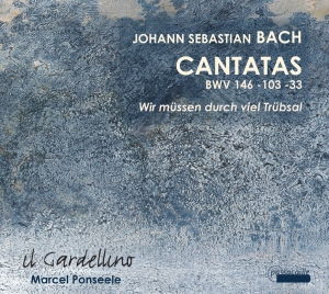 Il Gardellino - J. S. Bach - Cantatas Bwv 146, 103, ryhmässä CD / Klassiskt @ Bengans Skivbutik AB (5571438)