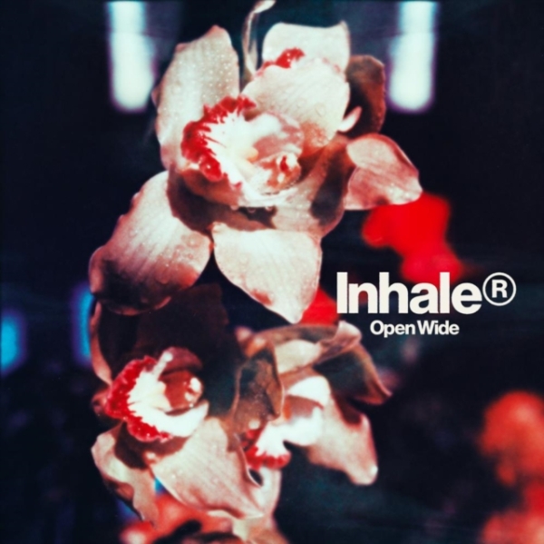 Inhaler - Open Wide ryhmässä VINYYLI / Pop-Rock @ Bengans Skivbutik AB (5571584)