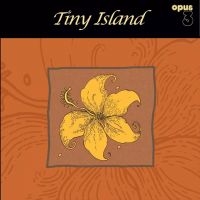 Tiny Island - Tiny Island ryhmässä VINYYLI / Blues @ Bengans Skivbutik AB (5571951)