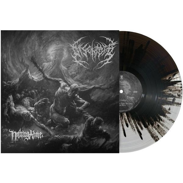 Disentomb - Nothing Above ryhmässä VINYYLI / Hårdrock @ Bengans Skivbutik AB (5572105)