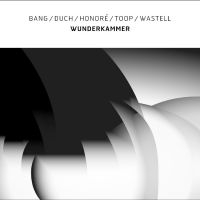 Bang / Duch / Honoré / Toop / Waste - Wunderkammer ryhmässä ME SUOSITTELEMME / Perjantain julkaisut / Perjantai 13 joulukuuta 2024 @ Bengans Skivbutik AB (5572219)