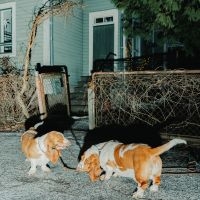Apulanta - Oire Jostakin (Ep) ryhmässä ME SUOSITTELEMME / Perjantain julkaisut / Perjantai, joulukuu 6, 2024 @ Bengans Skivbutik AB (5572494)
