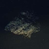 Multicast Dynamics - Lost World [Limited Indie Exclusive ryhmässä VINYYLI @ Bengans Skivbutik AB (5572522)