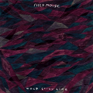 Field Mouse - Hold Still Life ryhmässä Pop-Rock @ Bengans Skivbutik AB (5572643)