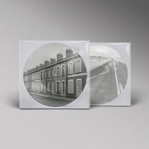 Manic Street Preachers - Critical Thinking (Ltd Picture Vinyl) ryhmässä Minishops / Manic Street Preachers @ Bengans Skivbutik AB (5572801)