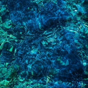 Aoba Ichiko - Luminescent Creatures ryhmässä CD @ Bengans Skivbutik AB (5572830)