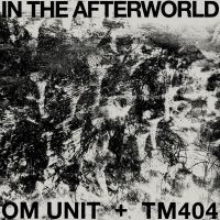 Om Unit + Tm404 - In The Afterworld ryhmässä VINYYLI / Pop-Rock @ Bengans Skivbutik AB (5572938)