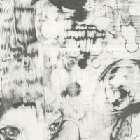 Ex Wiish - Shards Of Axel ryhmässä VINYYLI / Pop-Rock @ Bengans Skivbutik AB (5572939)
