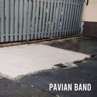 Pavian Band - Pavian Band ryhmässä CD / Pop-Rock @ Bengans Skivbutik AB (5573076)