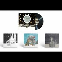 Wilson Steven - December Skies ryhmässä VINYYLI @ Bengans Skivbutik AB (5573504)