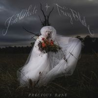 Jim White - Precious Bane ryhmässä ME SUOSITTELEMME / Perjantain julkaisut / 2025-01-31 @ Bengans Skivbutik AB (5573506)