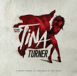 Various Artists - Many Faces Of Tina Turner The (2 Lp ryhmässä VINYYLI / Pop-Rock @ Bengans Skivbutik AB (5574510)