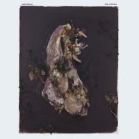 Isak Edberg - Belt Of Orion ryhmässä ME SUOSITTELEMME / Perjantain julkaisut / 2025-01-17 @ Bengans Skivbutik AB (5574707)