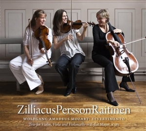 Mozart W A - Divertimento I Ess Dur ryhmässä Externt_Lager / Naxoslager @ Bengans Skivbutik AB (557487)